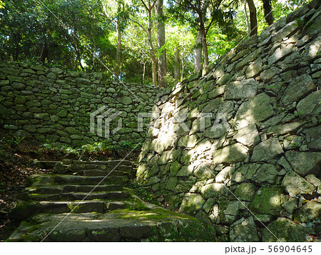 宇和島城 100名城 宇和島城 100名城 56904645