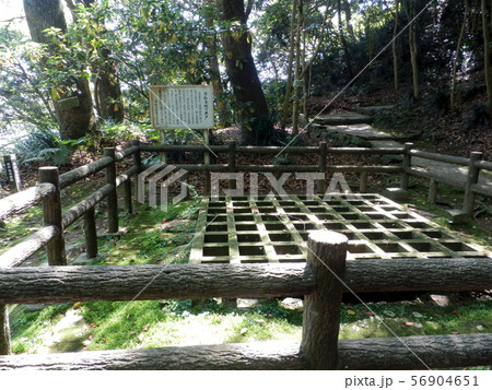 宇和島城　100名城 56904651