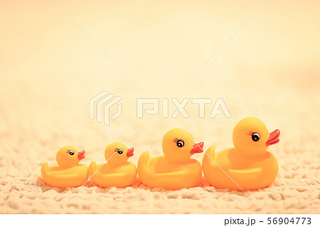 ひよこ家族 ひよこ家族 56904773