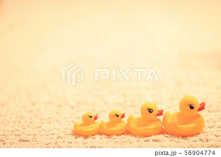 ひよこの家族 ひよこの家族 56904774