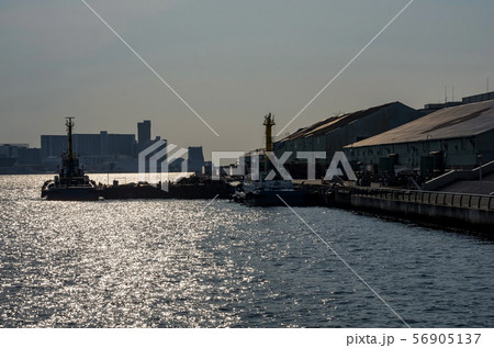大阪港・夕暮れの大阪港中央突堤臨海緑地の風景 56905137