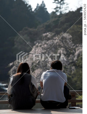 寄り添うカップル 寄り添うカップル 56905420