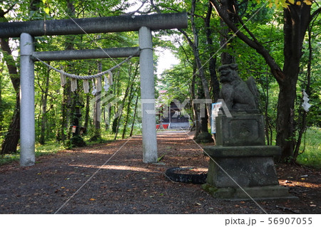 浦臼神社境内の狛犬と鳥居と社殿 56907055