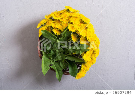 Basket with yellow dandelion flower Basket with yellow dandelion flower 56907294