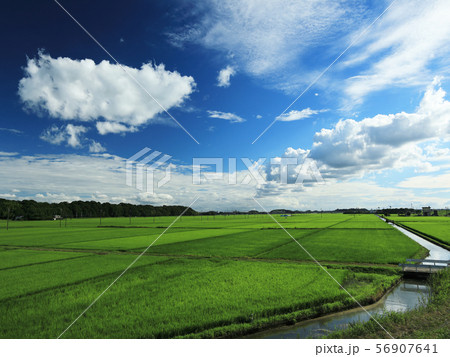 梅雨明けの空と白い雲 梅雨明けの空と白い雲 56907641
