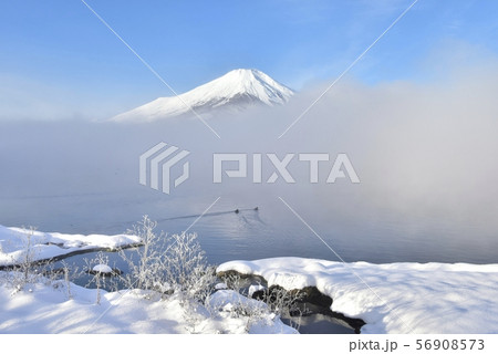 富士山と霧の山中湖に霧氷付く草と雪の湖畔 富士山と霧の山中湖に霧氷付く草と雪の湖畔 56908573