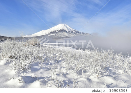 富士山と霧の山中湖に霧氷付く木と雪の湖畔 富士山と霧の山中湖に霧氷付く木と雪の湖畔 56908593