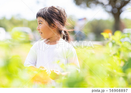 女の子 女の子 56908897