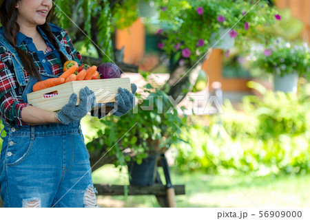 Asian happy women farmer holding a basket 56909000