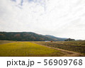 里山の秋 56909768