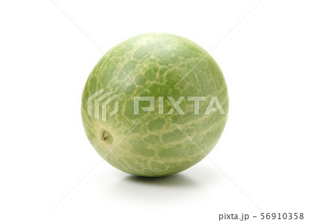 スイカ夢枕 スイカ夢枕 56910358