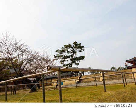 奈良：若草山 56910523