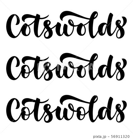 Cotswolds. Vector brush lettering script element. Cotswolds area name for posters, cards, maps and 56911320