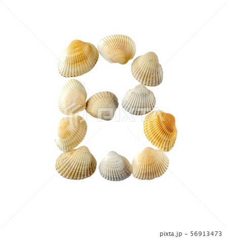 Letter "b" Composed From Seashells, Isolated On...の写真素材 [56913473] - PIXTA