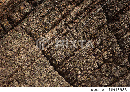 Layered Ancient Sedimentary Rock Face Surface Layered Ancient Sedimentary Rock Face Surface 56913988