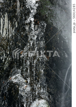 立春の凍り付く多摩川源流、小菅村、雄滝の凍るしずくを写す 立春の凍り付く多摩川源流、小菅村、雄滝の凍るしずくを写す 56914285