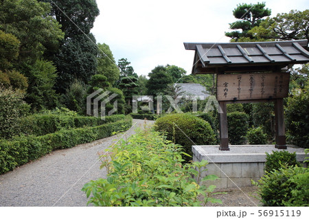 誉田御廟山古墳 誉田御廟山古墳 56915119