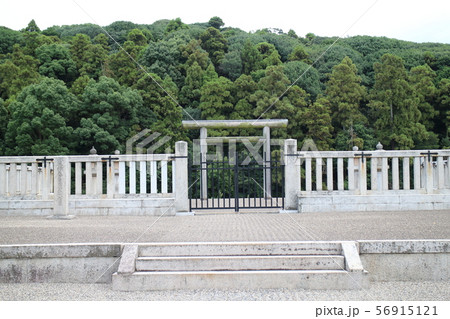 誉田御廟山古墳 誉田御廟山古墳 56915121