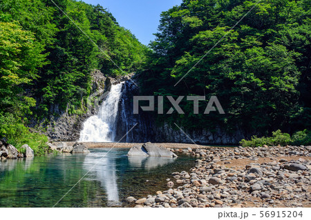 法体の滝 夏 秋田県 法体の滝 夏 秋田県 56915204