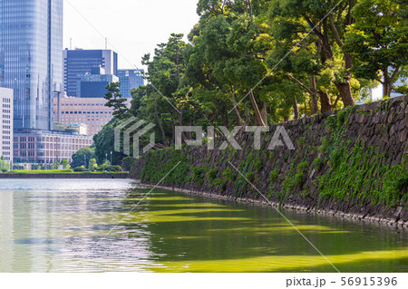 東京散歩、皇居周辺、Tokyo walk around Imperial Palace 56915396