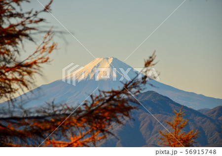 紅葉と富士山 56915748