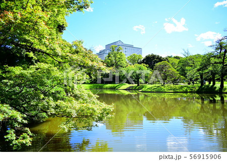 小石川後楽園 56915906