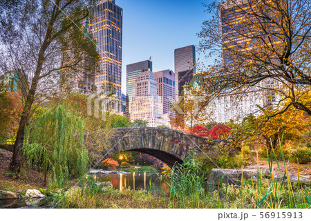 Central Park, New York City Autumn Central Park, New York City Autumn 56915913