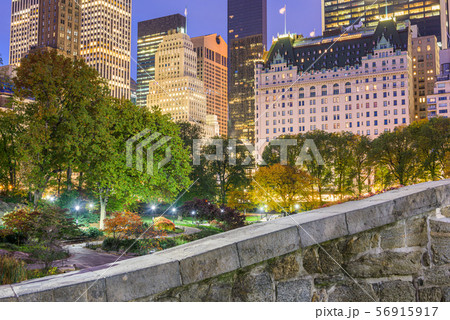 Central Park, New York City Autumn 56915917