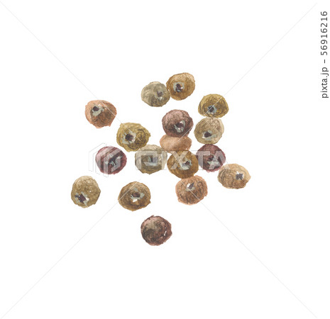 オールスパイス 56916216