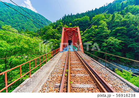 レールマウンテンバイク ガッタンゴー(渓谷コース) 56916238