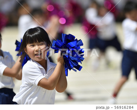 運動会 運動会 56916284