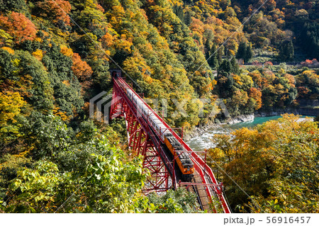 黒部峡谷の紅葉の写真素材