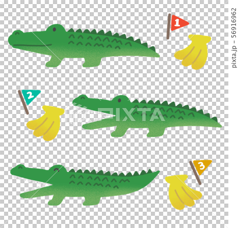 動物 ワニ 56916962