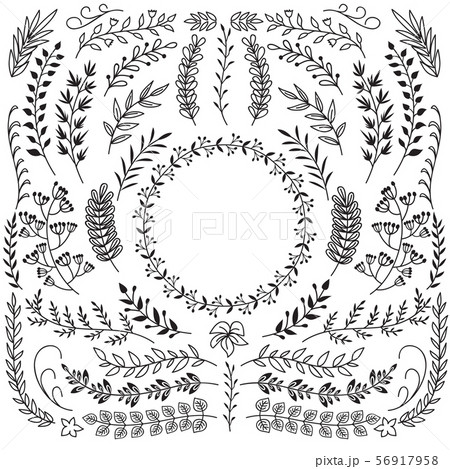 Hand drawn branches with leaves. Decorative floral wreath border frames. Rustic doodle vector set Hand drawn branches with leaves. Decorative floral wreath border frames. Rustic doodle vector set 56917958