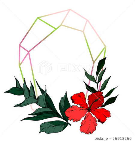 Vector Tropical flowers and leaves isolated. Black and white engraved ink art. Frame border ornament 56918266