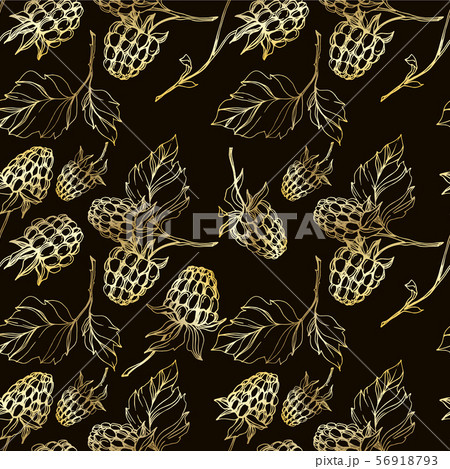 Vector Raspberry healthy food isolated. Black and white engraved ink art. Seamless background 56918793
