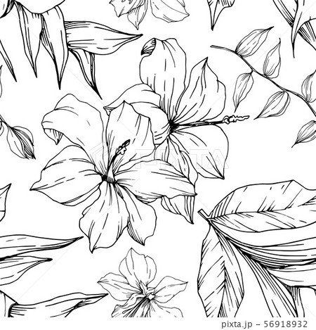 Vector Tropical flowers and leaves isolated. Black and white engraved ink art. Seamless background 56918932
