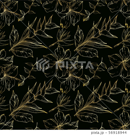 Vector Tropical flowers and leaves isolated. Black and white engraved ink art. Seamless background 56918944