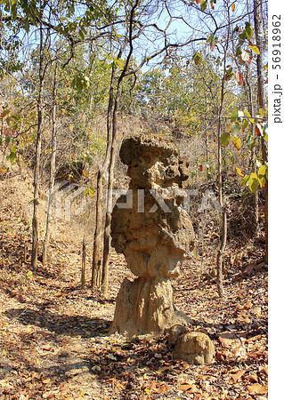 The soil columns Found in nature. The soil columns Found in nature. 56918962