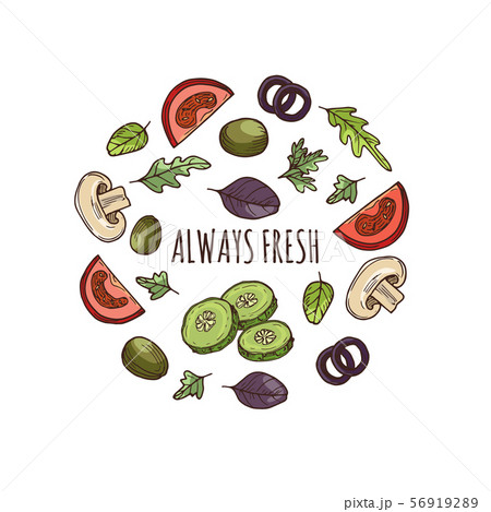 Hand drawn greens banner vector design. Sketched vegatables 56919289