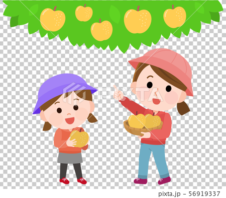 梨狩りする親子 イラストのイラスト素材
