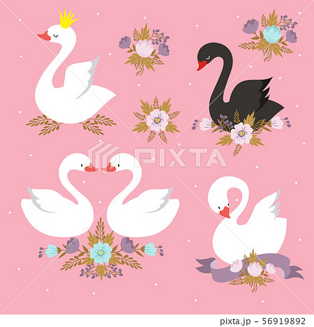 Beautiful white princess swan with crown. Cartoon goose, duck bird vector set 56919892
