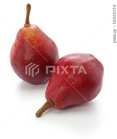 スタークリムソン 56920154