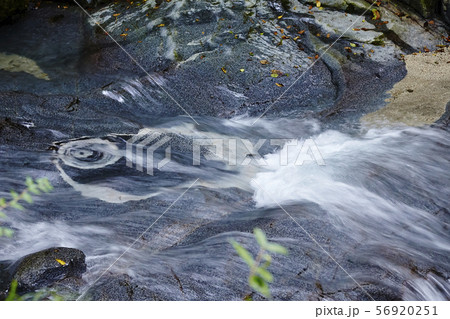 的様(山梨県道志村) 56920251