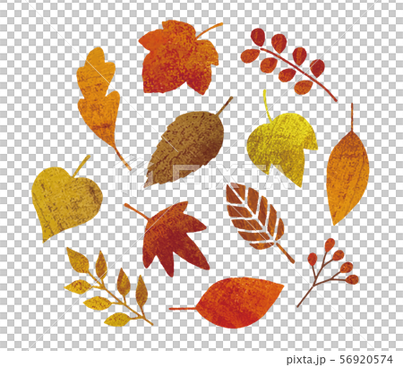 Oil style autumn leaves set 56920574