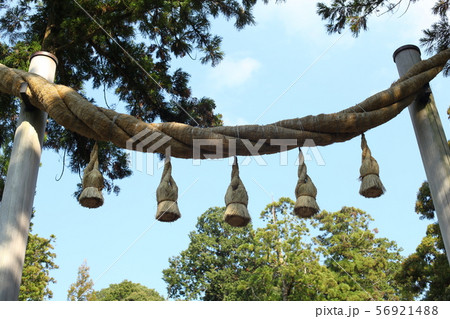 昔ながらのしめ縄 昔ながらのしめ縄 56921488