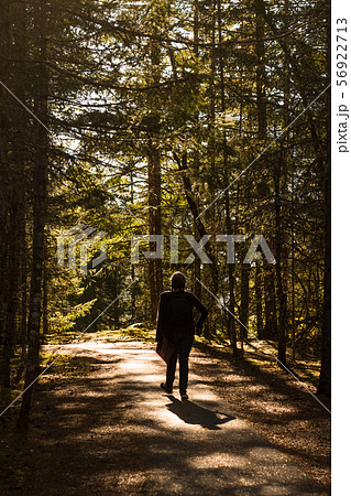 A woman walks along the George Overlook trail, at the North Cascades 56922713