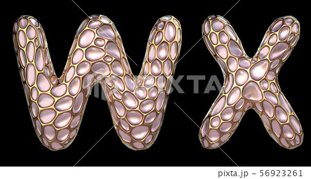 Realistic 3D letters set W, X made of gold shining metal letters. Realistic 3D letters set W, X made of gold shining metal letters. 56923261