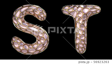 Realistic 3D letters set S, T made of gold shining metal letters. Realistic 3D letters set S, T made of gold shining metal letters. 56923263