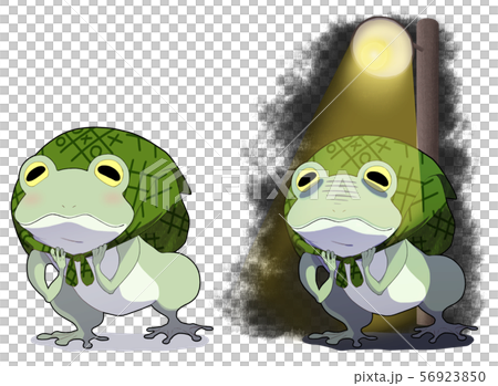 Frog carrying a baggage Frog carrying a baggage 56923850